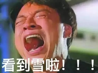 什么!?你们南方竟敢先下大雪?