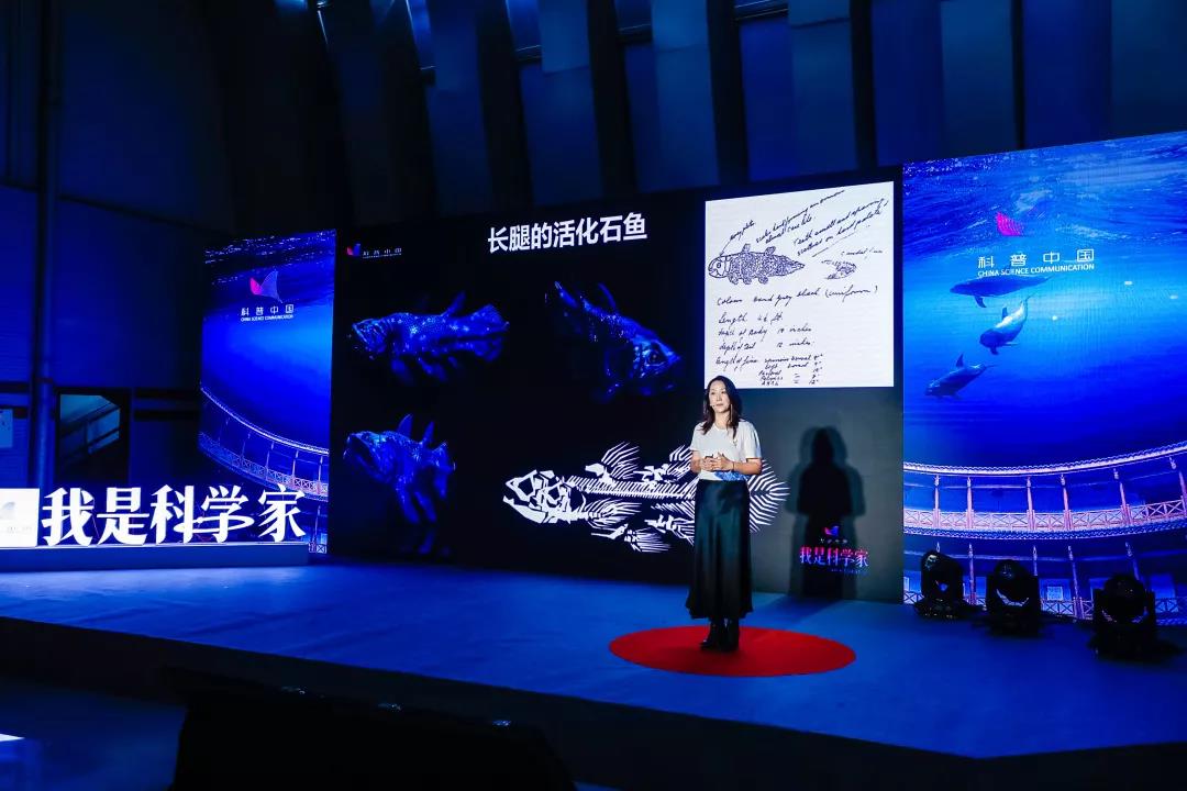 这种以漂亮小姐姐名字命名的鱼,没有它就没有现在的我们|卢静