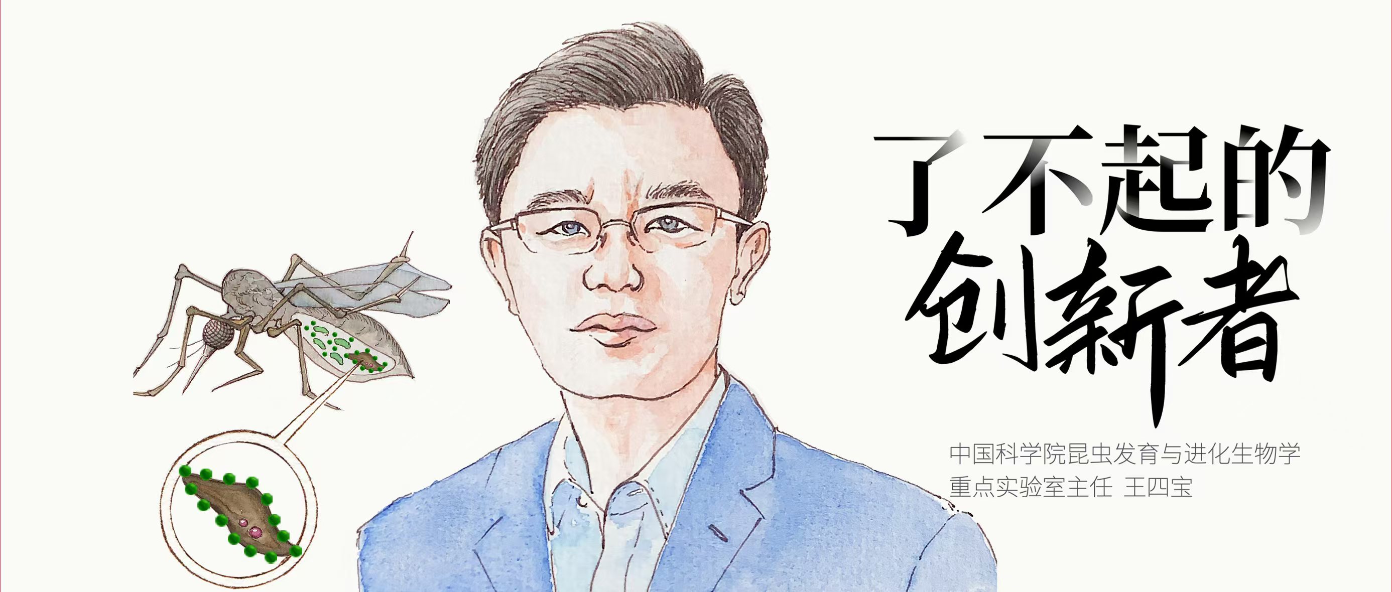 为了攻克致命传染病，我想先“治愈”蚊子