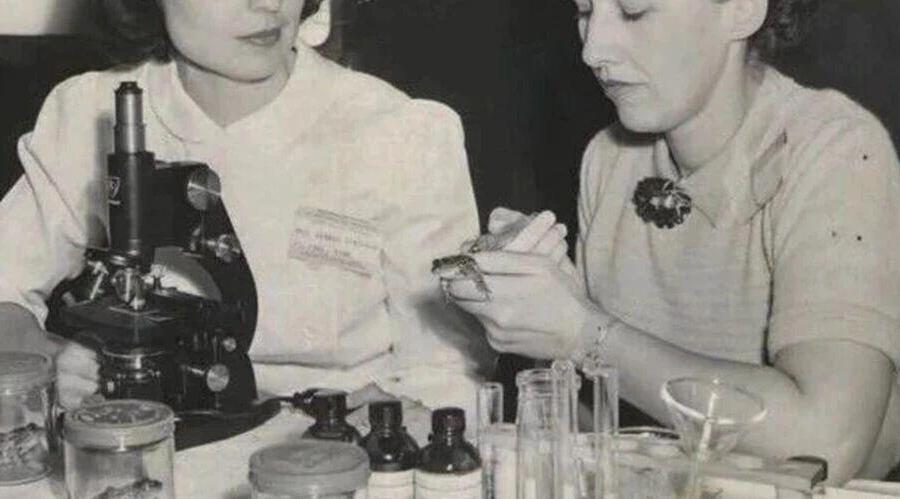 把女性尿液注射到青蛙体内，如果它数小时内产出数百枚卵，就说明她怀孕了