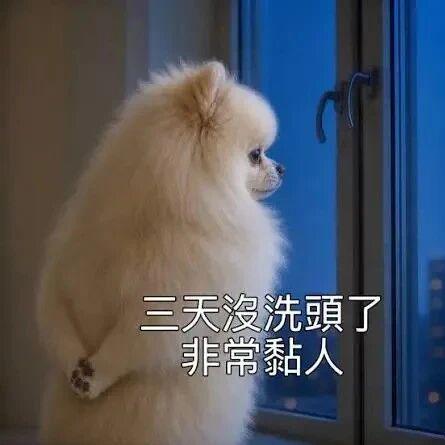 住手！头皮上的疙瘩千万别乱抠！