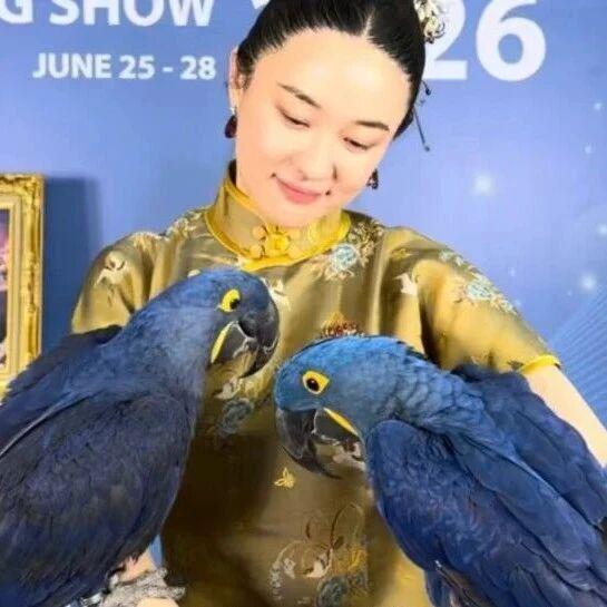 霍思燕家的狗刚拿世界杯冠军，她家的鹦鹉又夺冠？！