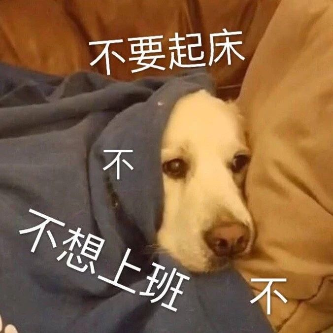 冬天多睡半小时懒觉的幸福感，都是它给的！（精致牛马版）